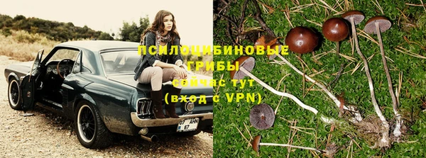 спайс Вязники